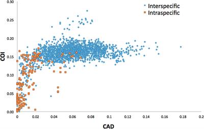 The Essential Role of Taxonomic Expertise in the Creation of DNA Databases for the Identification and Delimitation of Southeast Asian Ambrosia Beetle Species (Curculionidae: Scolytinae: Xyleborini)